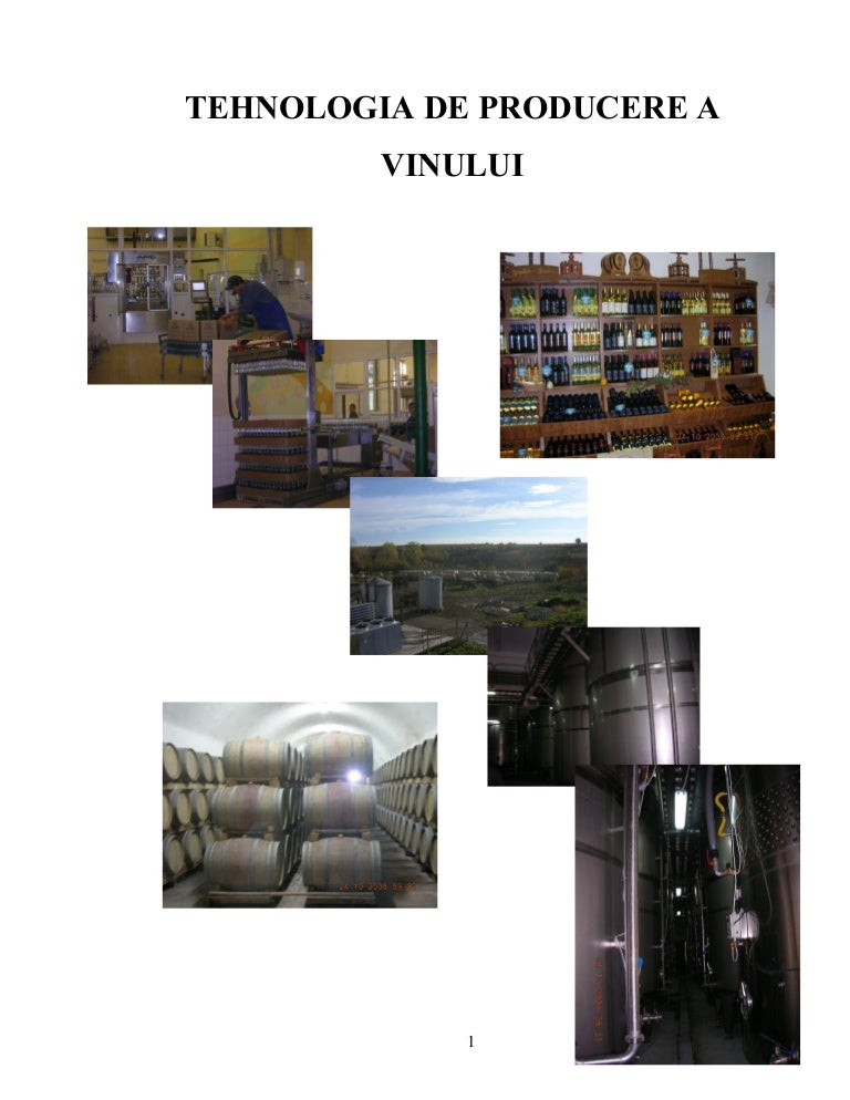 44477429 Tehnologia De Producere A Vinului