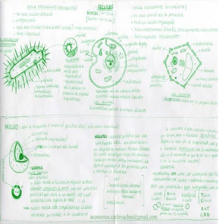 Resumen-psu-biologia