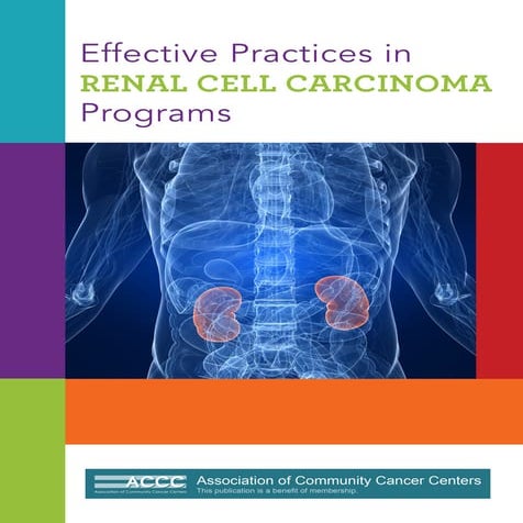 RCC-Effective-Practices-in-Renal-Cell-Carcinoma-Programs | PDF