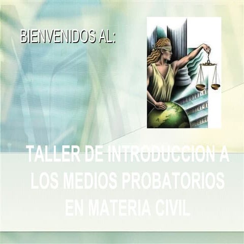 Medios Prueba en Materia Civil