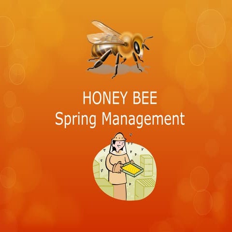 Honeybee spring management-bsc zoology.ppt