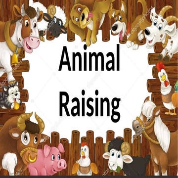448777012-------animal------raising.pptx