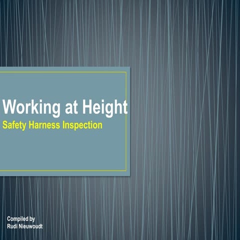 Working at Height - Safety Harness Inspection