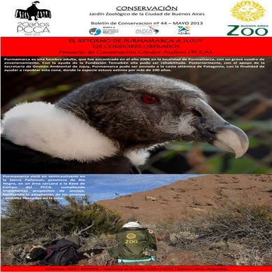 44 boletín conservación_pcca_pdf