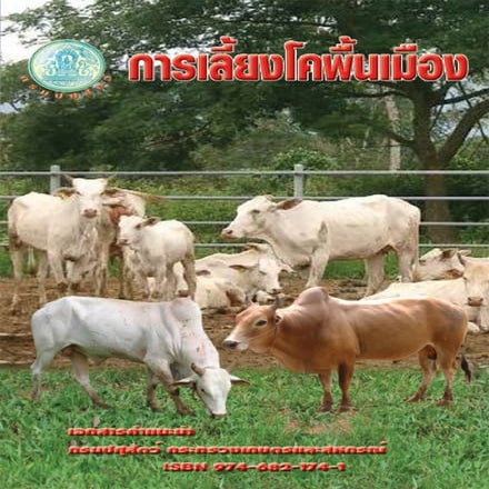 การเลี้ยงโคพื้นเมือง