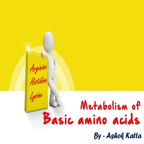 Metabolism of Basic Amino Acids (Arginine, Histidine, Lysine)