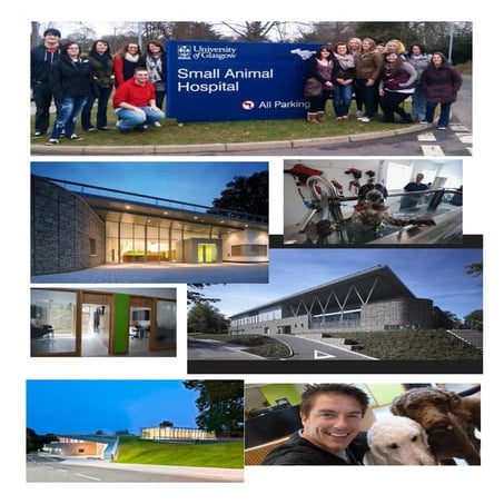 small animals hospital