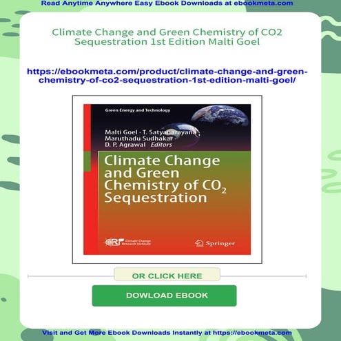 Climate Change and Green Chemistry of CO2 Sequestration 1st Edition ...
