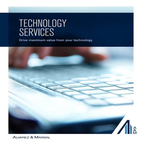 am_technology_services_overview