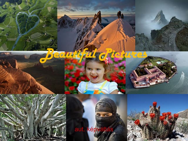 45 beautiful pictures   nek - bob dylan