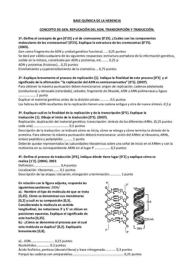 significado biologico de la replicacion del adn