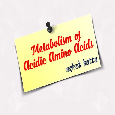 Metabolism of Acidic Amino Acids (Glutamic Acid, Glutamine, Aspartic acid, As...