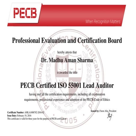 Lead Auditor 55001
