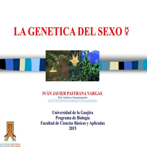 461293415-LA-GENETICA-DEL-SEXO-ppt.ppt