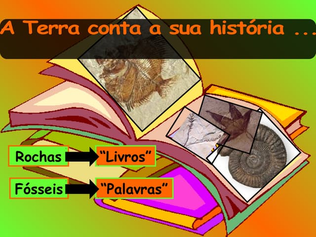46164443 31517727-fosseis