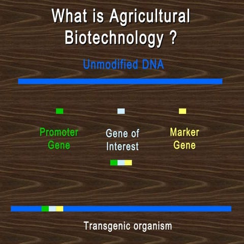 Agricultural Biotechnology