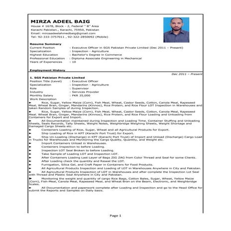 MIRZA ADEEL BAIG SGS CV WORD FORMAT | DOCX