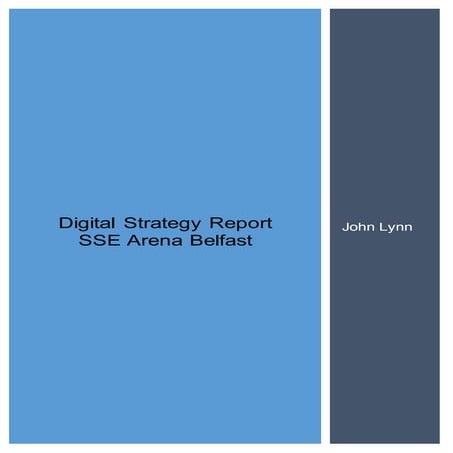 Digital strategy Report John Lynn