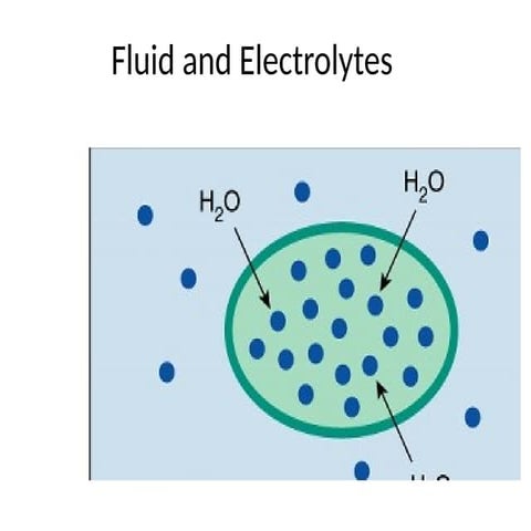 Fluids and Electrolytes | PDF