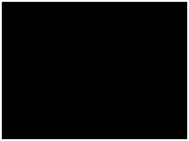 466416256-Stages-of-fetal-development-Final-PPT.pptx