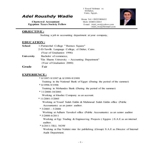Curriculum Vitae Adel Roushdy