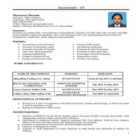 Accountant CV 1