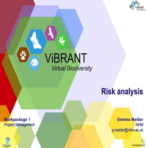 Nothing can possbily go wrong – Risk Analysis discussion