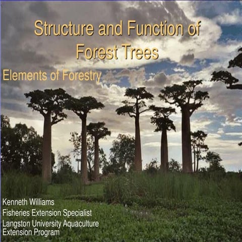 forest trees structure and fucnction.pdf