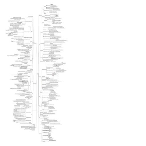 Patent Law 2008 Fall Mindmap By Leejason | PDF