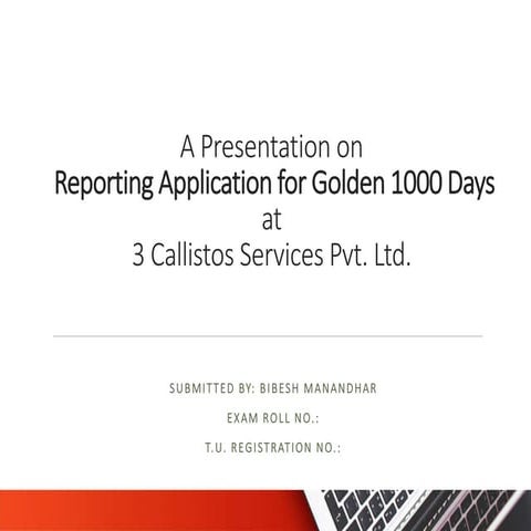 BIM (Bachelor of Information Management) Internship Final Presentation