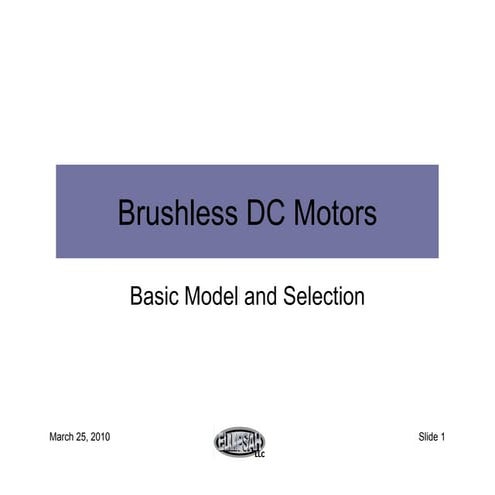 20100325 BDC Motor Presentation