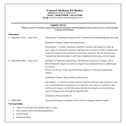 Youssef Mohsen El Badry