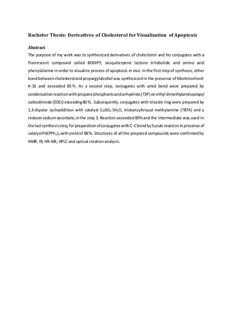 Bachelor thesis survey Bachelor thesis survey image