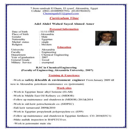 Mohamed Ahmed Ali Ahmed Ali Katheer CV new update | PDF