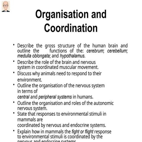 Comprehensive Overview of Human Brain Functions and Coordination ...