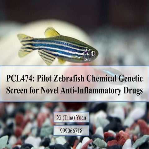 Zebrafish Chemical Screen for novel anti-inflammatory drugs - a ...