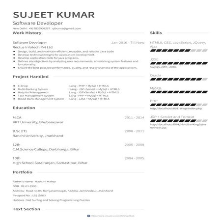 Software Android Developer Resume | PDF