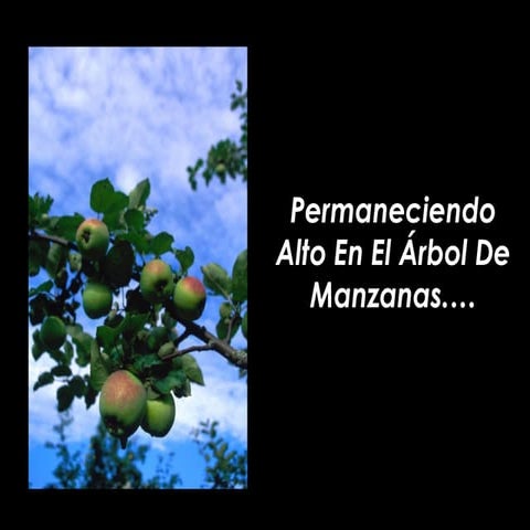Mijeres manzanas