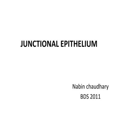 486 junctional epithelium