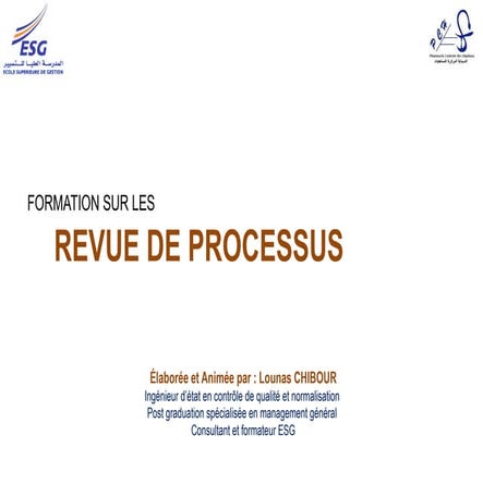 487033077-ESG-REVUE-DE-PROCESSU (1).pptx