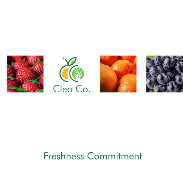 CleoCo | PDF
