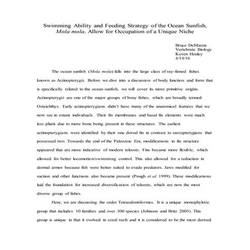 Swimming Ability and Feeding Strategy of the Ocean Sunfish