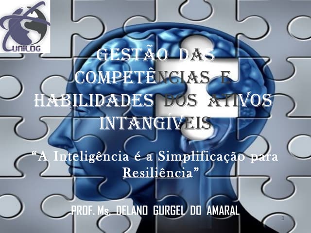48 slides  rh gestão das competênci...