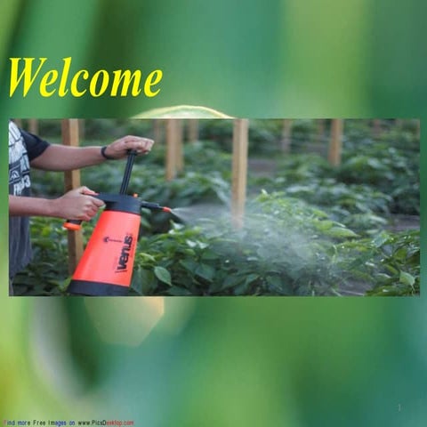 Effect of Foliar Application of Liquid Organic Fertilizers on crop growth and...