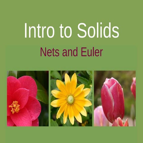 Intro to Solids, Nets, and Euler