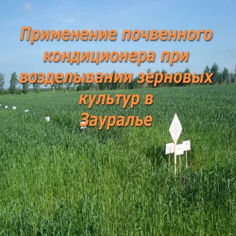 Эффективность применения гидрогеля в Зауралье