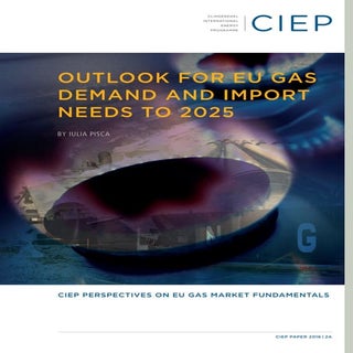 CIEP_paper_2016_2A_Demand_web