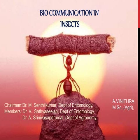 INSECT COMMUNICATION CREDIT