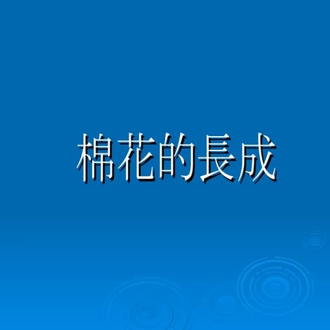 棉花的成長史