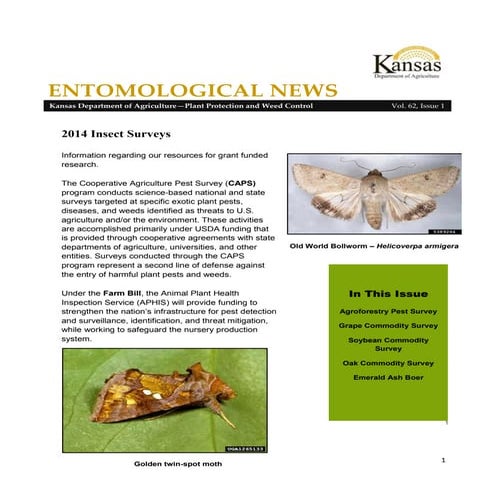 Butterflies poster | PDF